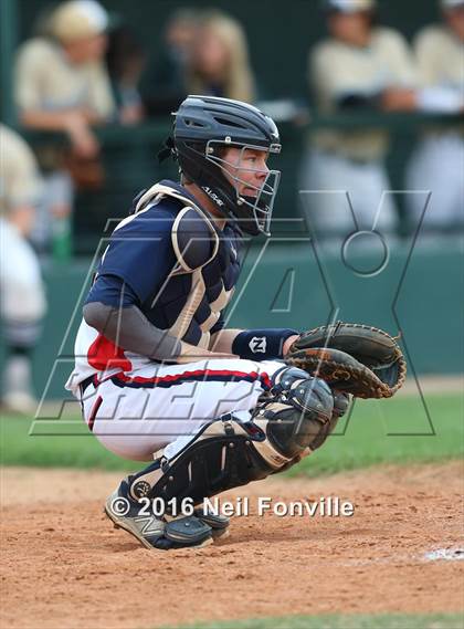 Thumbnail 1 in Birdville @ Allen photogallery.