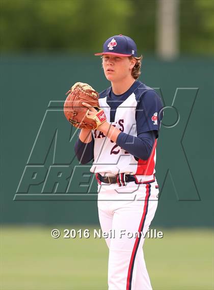Thumbnail 1 in Birdville @ Allen photogallery.