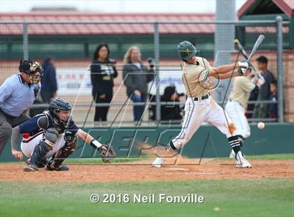 Thumbnail 3 in Birdville @ Allen photogallery.