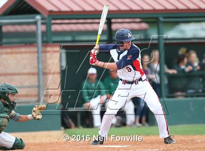 Thumbnail 3 in Birdville @ Allen photogallery.