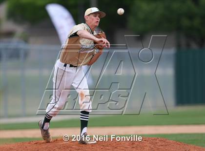 Thumbnail 3 in Birdville @ Allen photogallery.