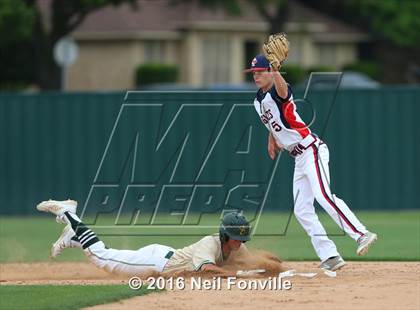 Thumbnail 2 in Birdville @ Allen photogallery.