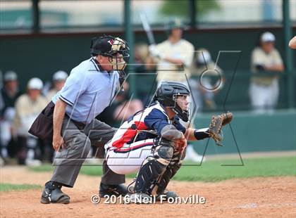 Thumbnail 2 in Birdville @ Allen photogallery.