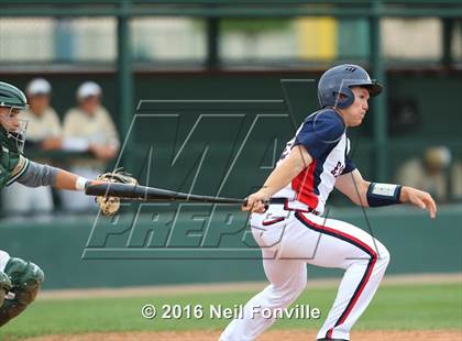 Thumbnail 2 in Birdville @ Allen photogallery.