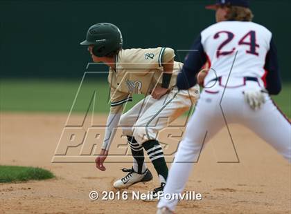 Thumbnail 2 in Birdville @ Allen photogallery.
