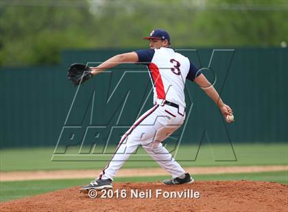 Thumbnail 1 in Birdville @ Allen photogallery.