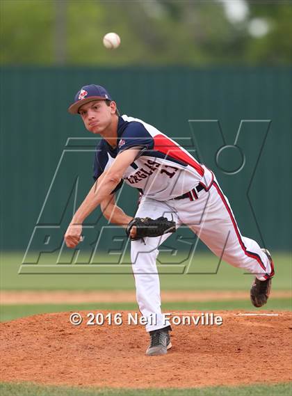 Thumbnail 1 in Birdville @ Allen photogallery.