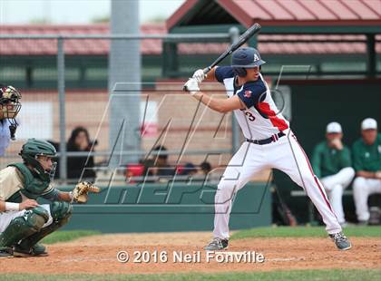 Thumbnail 3 in Birdville @ Allen photogallery.