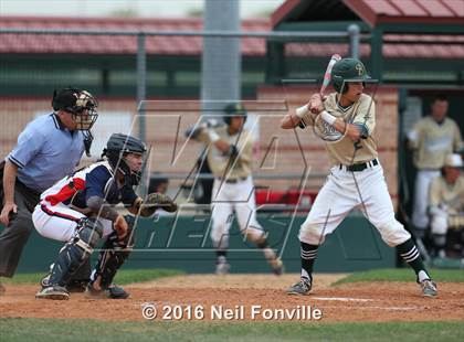 Thumbnail 1 in Birdville @ Allen photogallery.