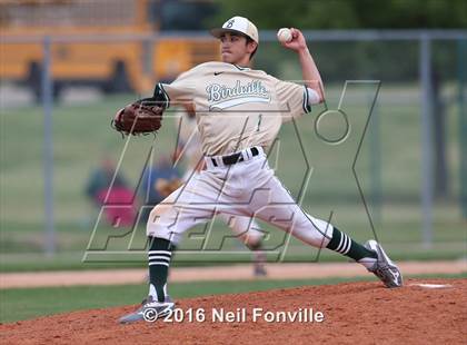 Thumbnail 2 in Birdville @ Allen photogallery.