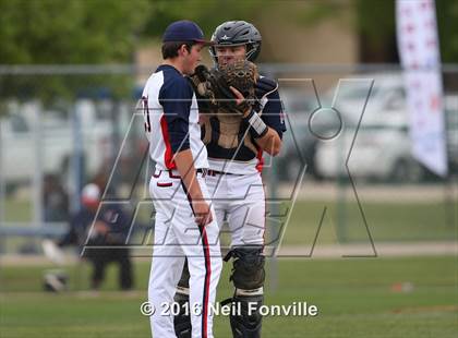 Thumbnail 3 in Birdville @ Allen photogallery.