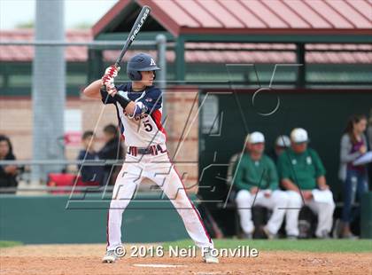 Thumbnail 3 in Birdville @ Allen photogallery.