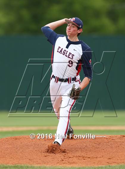 Thumbnail 3 in Birdville @ Allen photogallery.