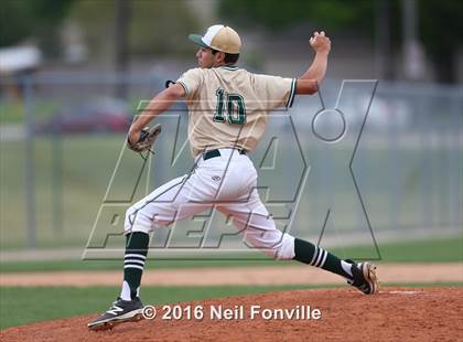 Thumbnail 1 in Birdville @ Allen photogallery.