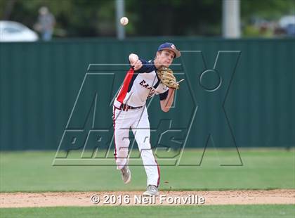 Thumbnail 2 in Birdville @ Allen photogallery.