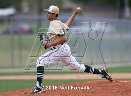 Thumbnail 2 in Birdville @ Allen photogallery.