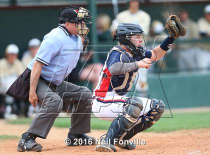 Thumbnail 3 in Birdville @ Allen photogallery.