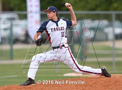 Thumbnail 2 in Birdville @ Allen photogallery.