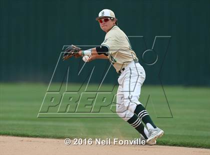 Thumbnail 3 in Birdville @ Allen photogallery.