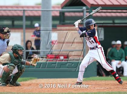 Thumbnail 3 in Birdville @ Allen photogallery.