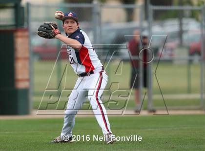 Thumbnail 3 in Birdville @ Allen photogallery.