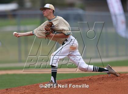 Thumbnail 2 in Birdville @ Allen photogallery.
