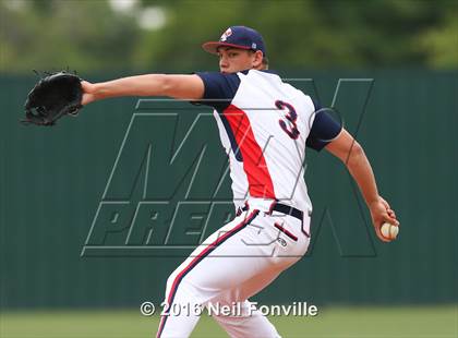 Thumbnail 2 in Birdville @ Allen photogallery.