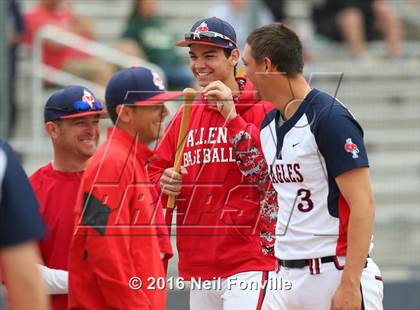 Thumbnail 2 in Birdville @ Allen photogallery.