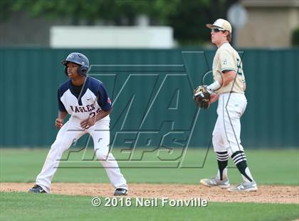 Thumbnail 2 in Birdville @ Allen photogallery.