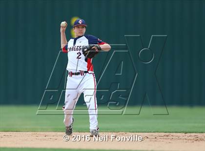 Thumbnail 1 in Birdville @ Allen photogallery.