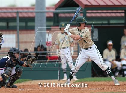 Thumbnail 1 in Birdville @ Allen photogallery.