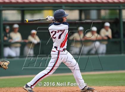 Thumbnail 1 in Birdville @ Allen photogallery.