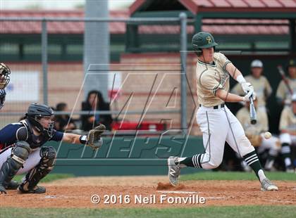 Thumbnail 2 in Birdville @ Allen photogallery.