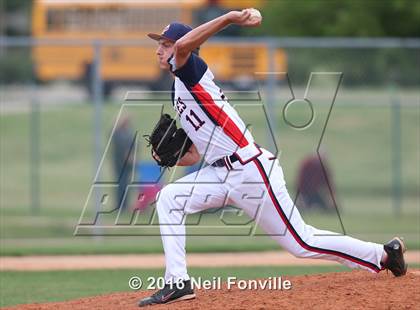 Thumbnail 2 in Birdville @ Allen photogallery.