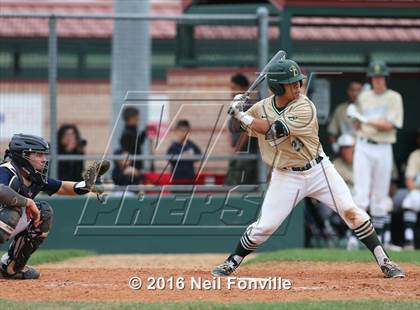 Thumbnail 2 in Birdville @ Allen photogallery.