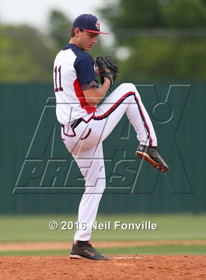 Thumbnail 2 in Birdville @ Allen photogallery.