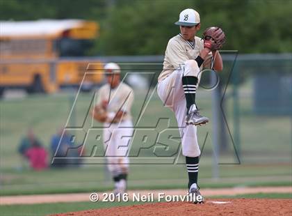 Thumbnail 1 in Birdville @ Allen photogallery.