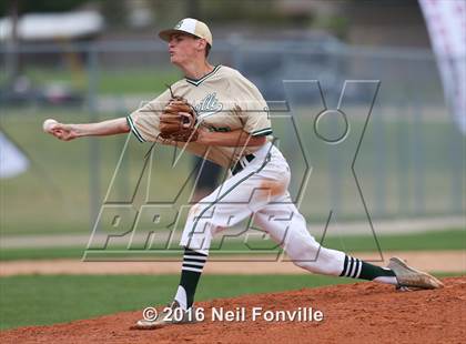 Thumbnail 2 in Birdville @ Allen photogallery.