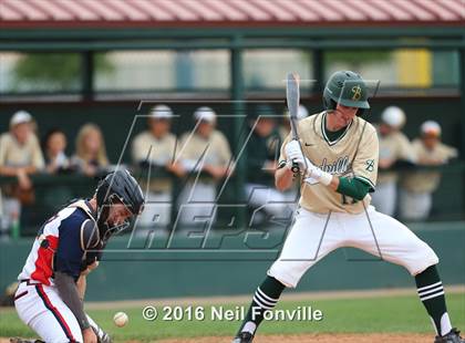 Thumbnail 3 in Birdville @ Allen photogallery.