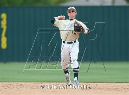 Thumbnail 3 in Birdville @ Allen photogallery.