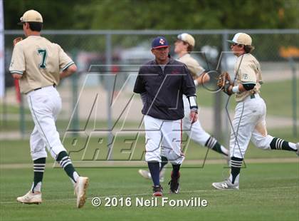 Thumbnail 1 in Birdville @ Allen photogallery.