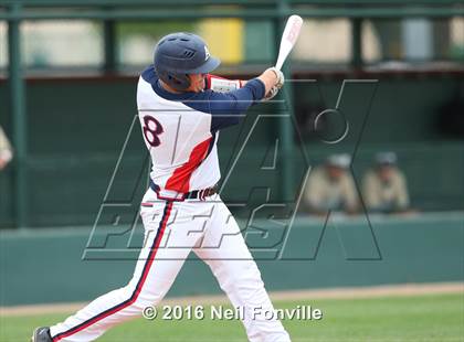 Thumbnail 3 in Birdville @ Allen photogallery.