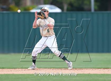 Thumbnail 3 in Birdville @ Allen photogallery.