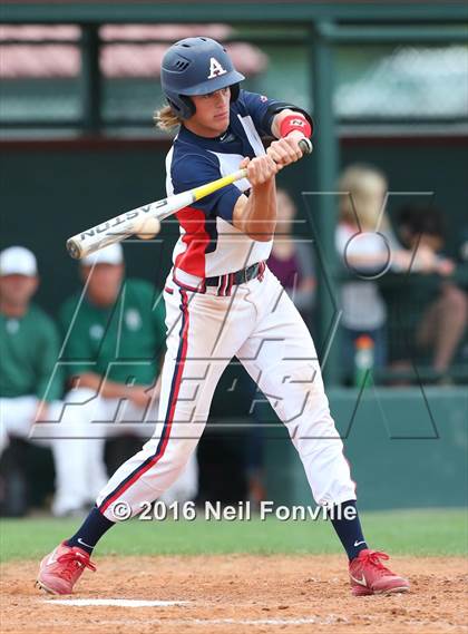 Thumbnail 2 in Birdville @ Allen photogallery.