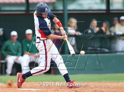 Thumbnail 3 in Birdville @ Allen photogallery.