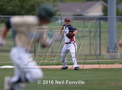 Thumbnail 2 in Birdville @ Allen photogallery.