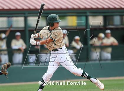 Thumbnail 2 in Birdville @ Allen photogallery.