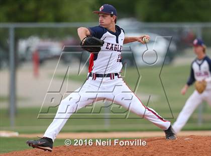 Thumbnail 1 in Birdville @ Allen photogallery.