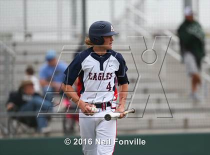 Thumbnail 3 in Birdville @ Allen photogallery.