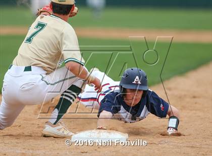Thumbnail 3 in Birdville @ Allen photogallery.